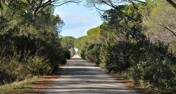 Da Alberese a Bocca d''Ombrone